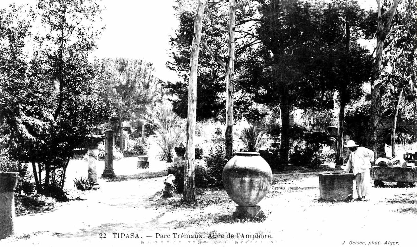 Tipasa - Ruines romaines 63.jpg